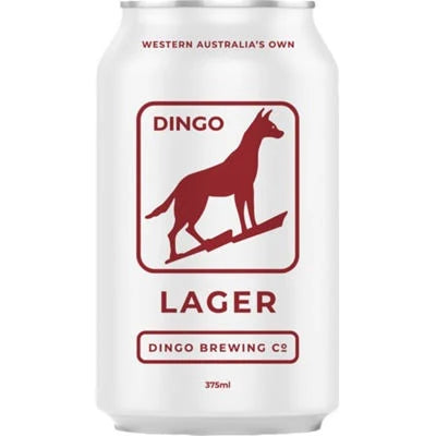 Dingo Lager 24x375mL
